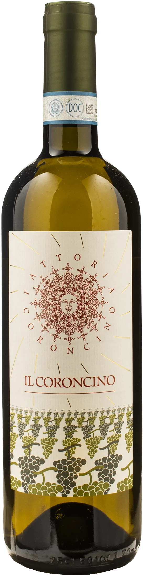 Fattoria Coroncino Verdicchio dei Castelli di Jesi Classico Superiore Il Coroncino 2024