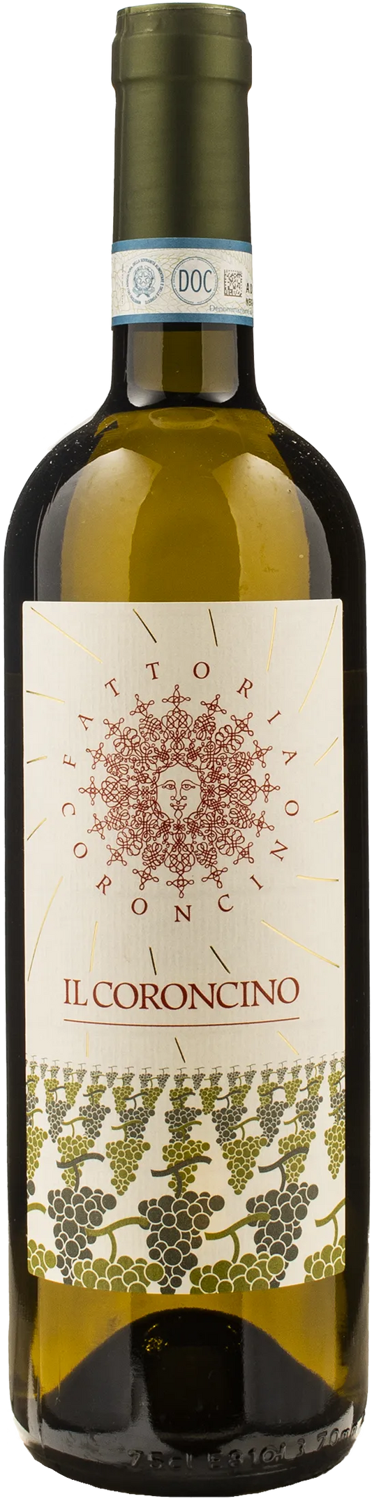 Fattoria Coroncino Verdicchio dei Castelli di Jesi Classico Superiore Il Coroncino 2024