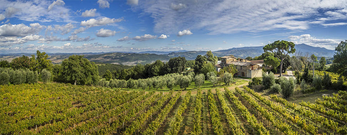 Fattoria dei Barbi