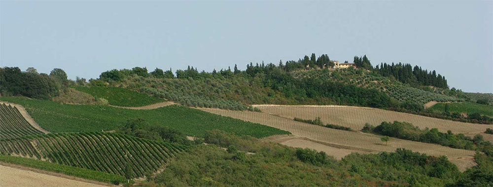 Fattoria di Rodano