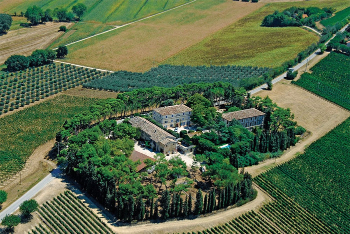 Fattoria Le Terrazze