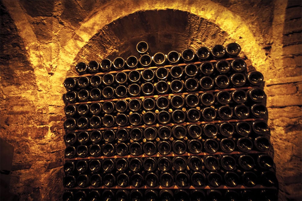Fattoria Le Terrazze