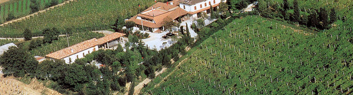 Fattoria Paradiso