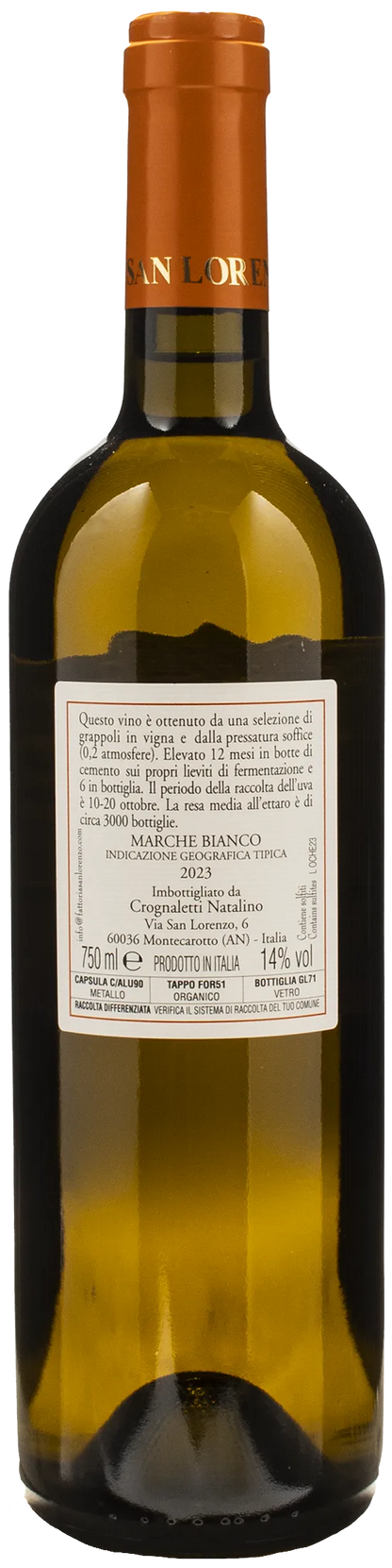 Fattoria San Lorenzo Le Oche 2023