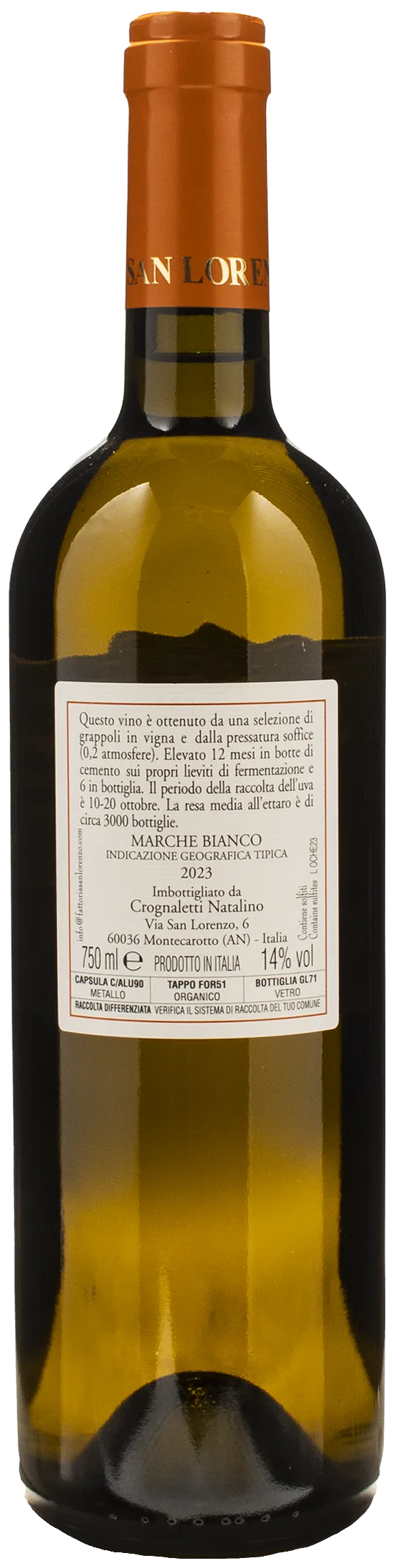 Fattoria San Lorenzo Le Oche 2023