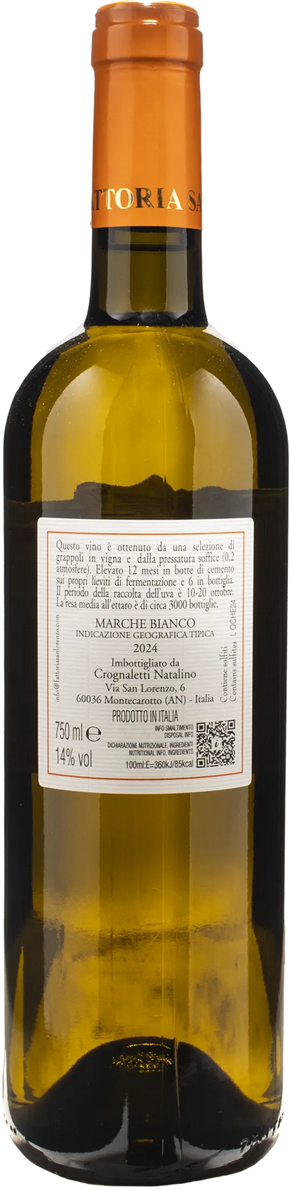 Fattoria San Lorenzo Le Oche 2024