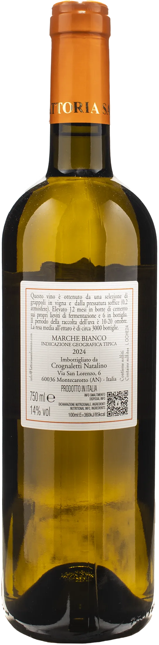 Fattoria San Lorenzo Le Oche 2024