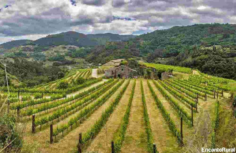 Fazenda Pradio