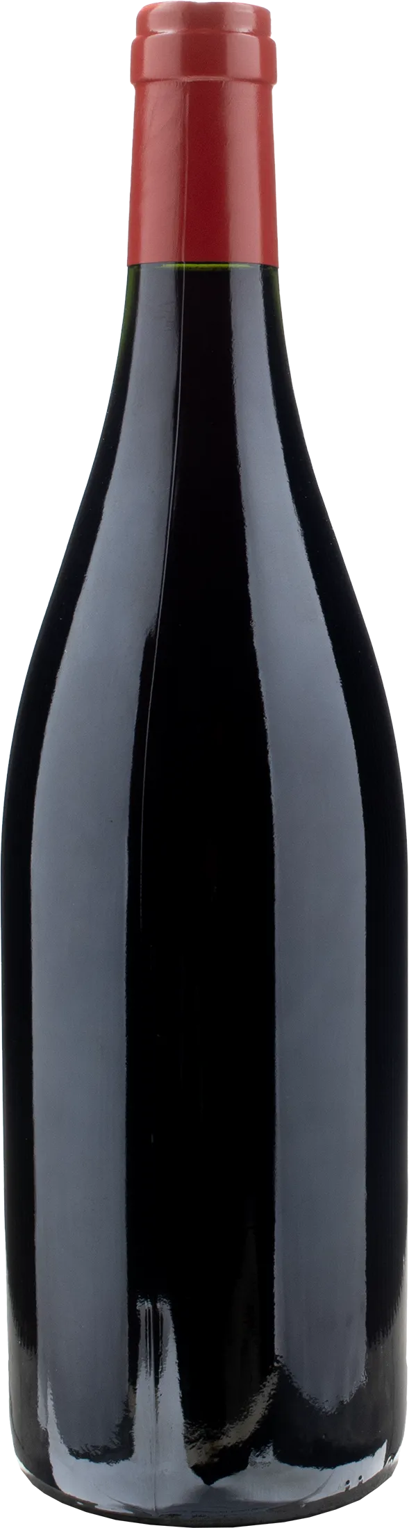 Federico Starderini Cuna 2020