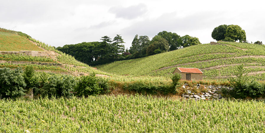 Ferraton Pere et Fils
