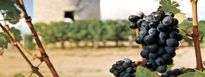 Feudi Salentini