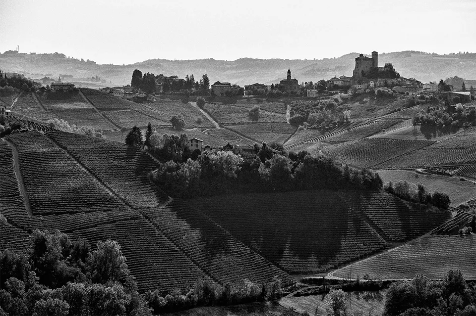 Figli Luigi Oddero