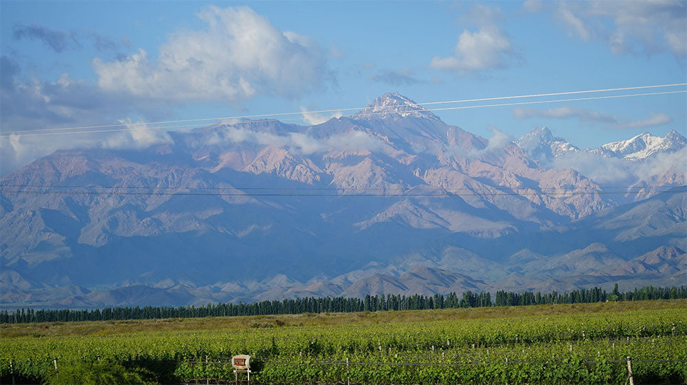 Finca Sophenia