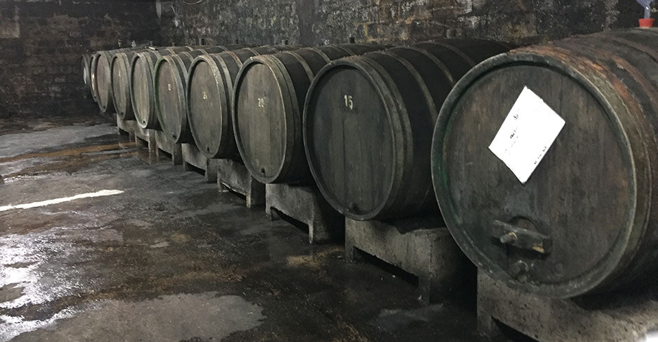 Fio Wines