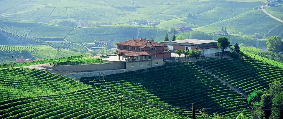 Fontana Livia