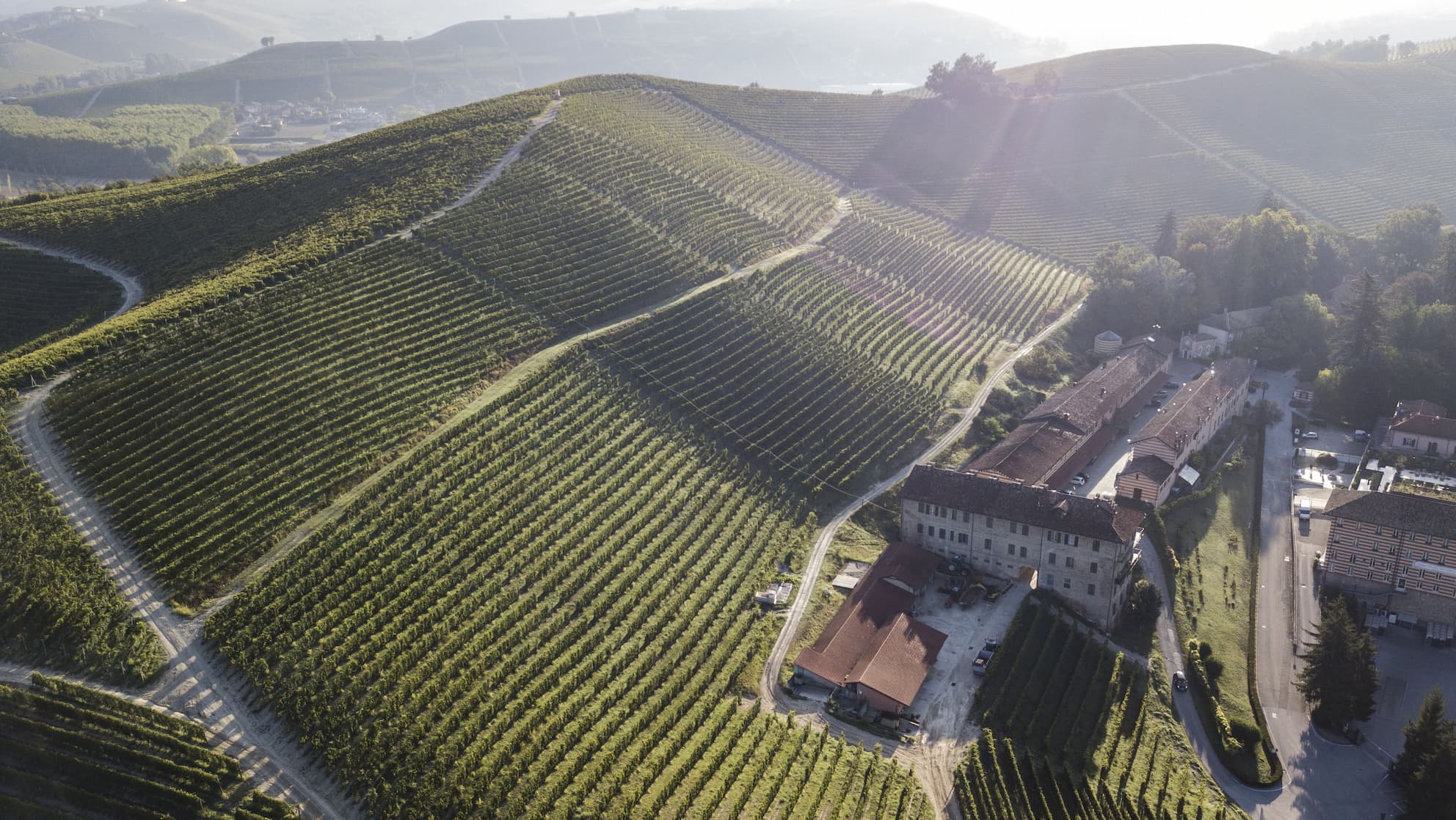 Fontanafredda: wine poetry from a noble land