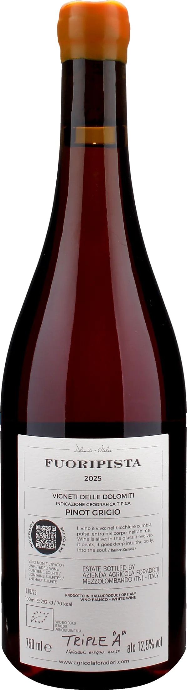 Foradori Fuoripista Pinot Grigio 2025