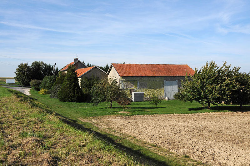 Francis Boulard
