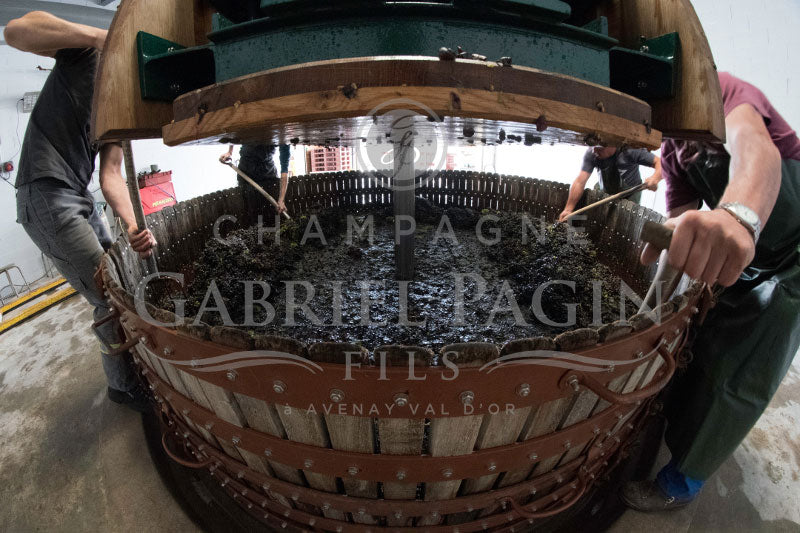 Gabriel Pagin Fils