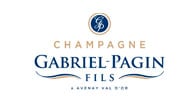 Gabriel Pagin Fils