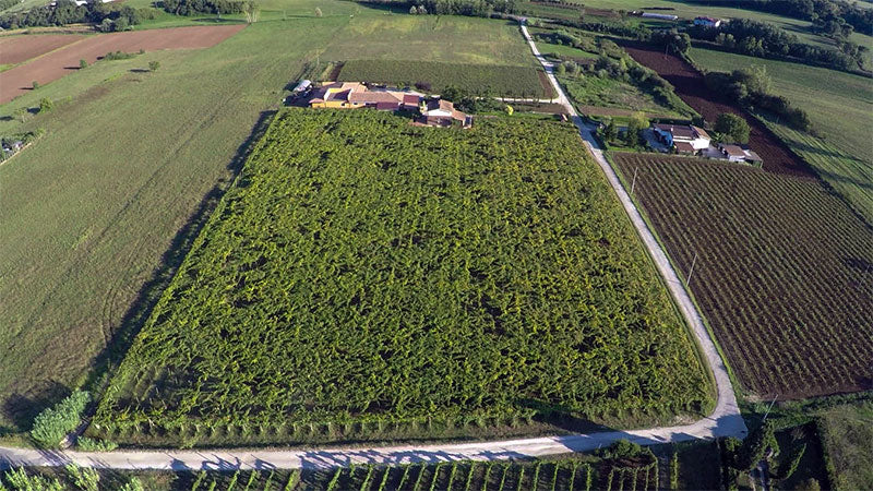 Giacobbe Alberto Azienda Agricola