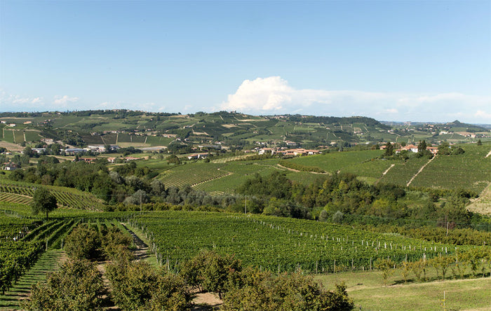 Gianni Doglia