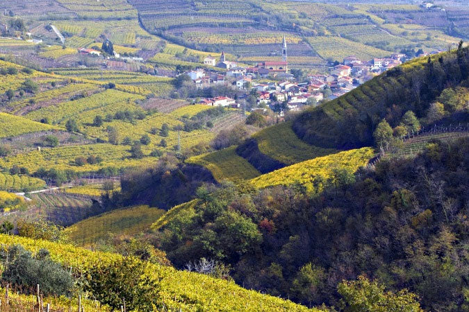 Giannitessari