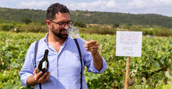 Giovanni Aiello Enologo per Amore