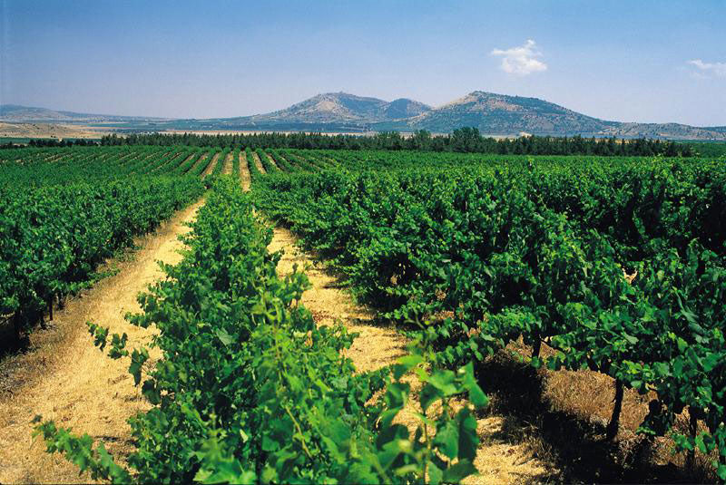 Golan Heights Winery