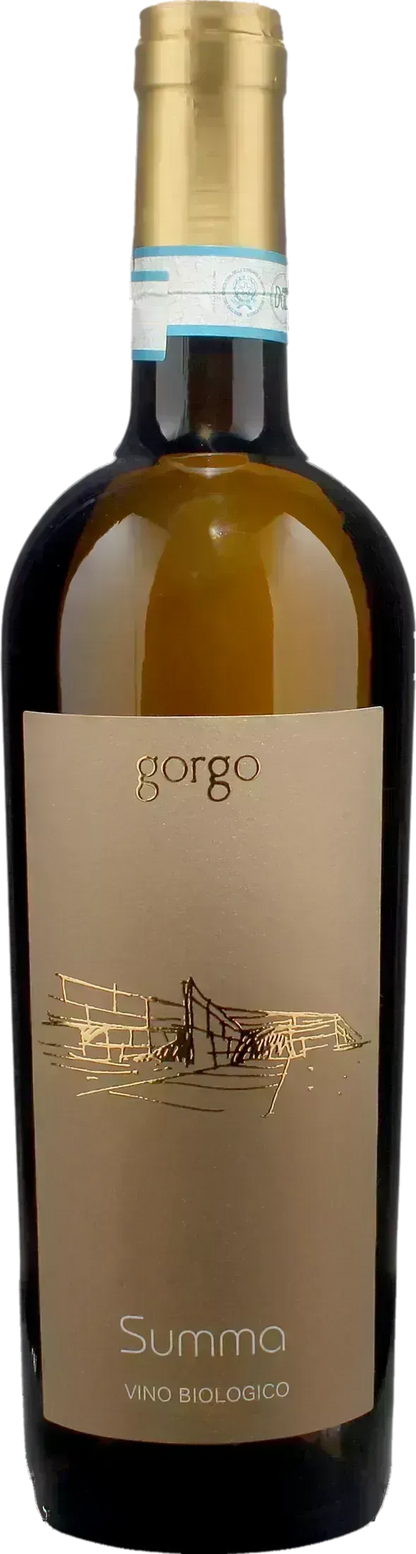 Gorgo Bianco Custoza Superiore Summa 2024