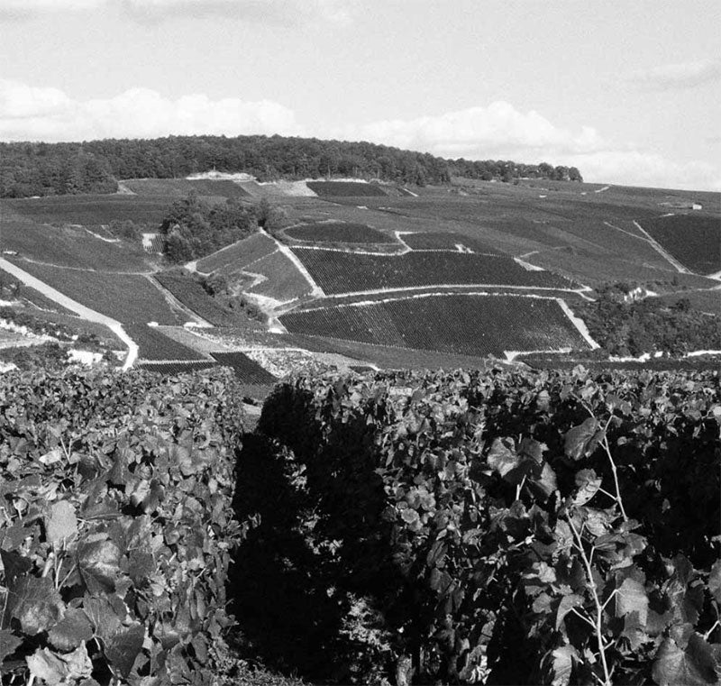Gosset-Brabant