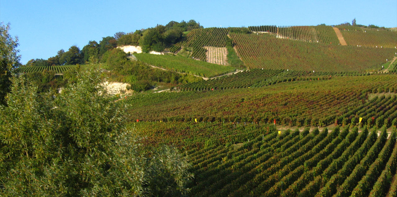 Goutorbe-Bouillot