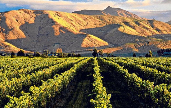 Greywacke