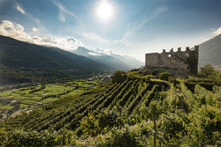 Gruppo Italiano Vini