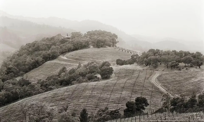 Harlan Estate