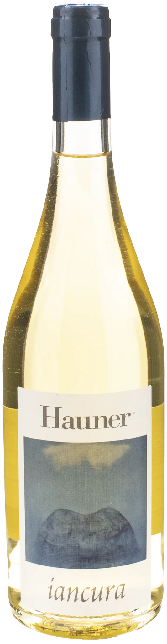 Hauner Iancura 2023