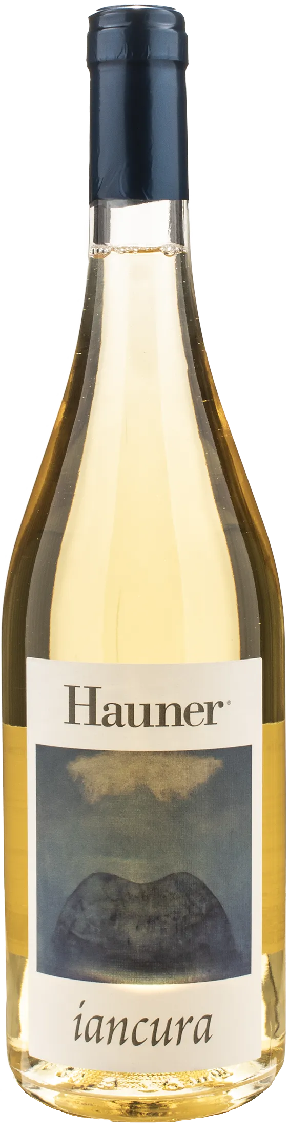 Hauner Iancura 2024