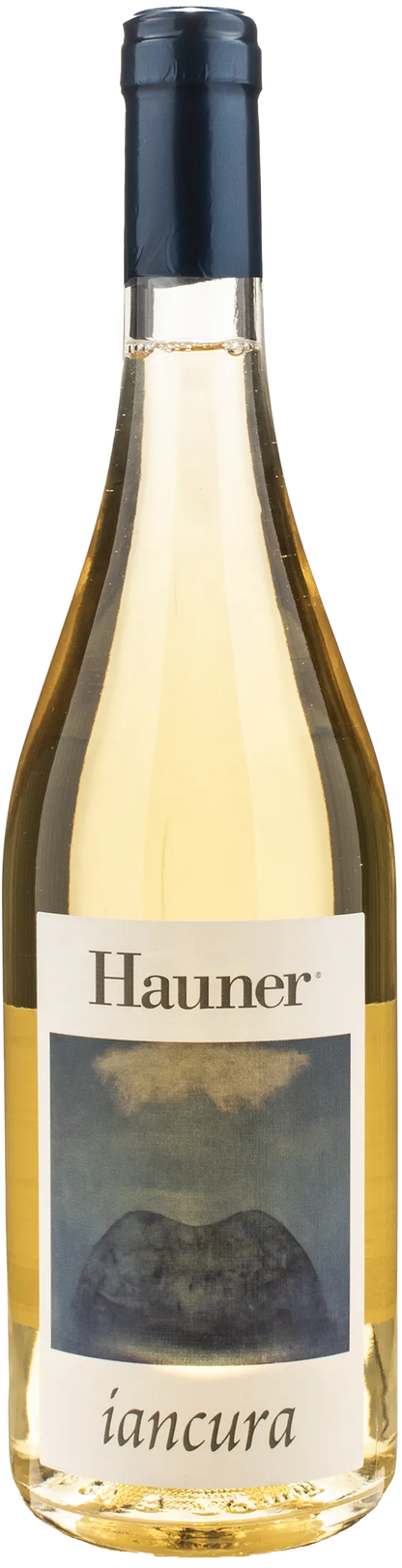 Hauner Iancura 2024