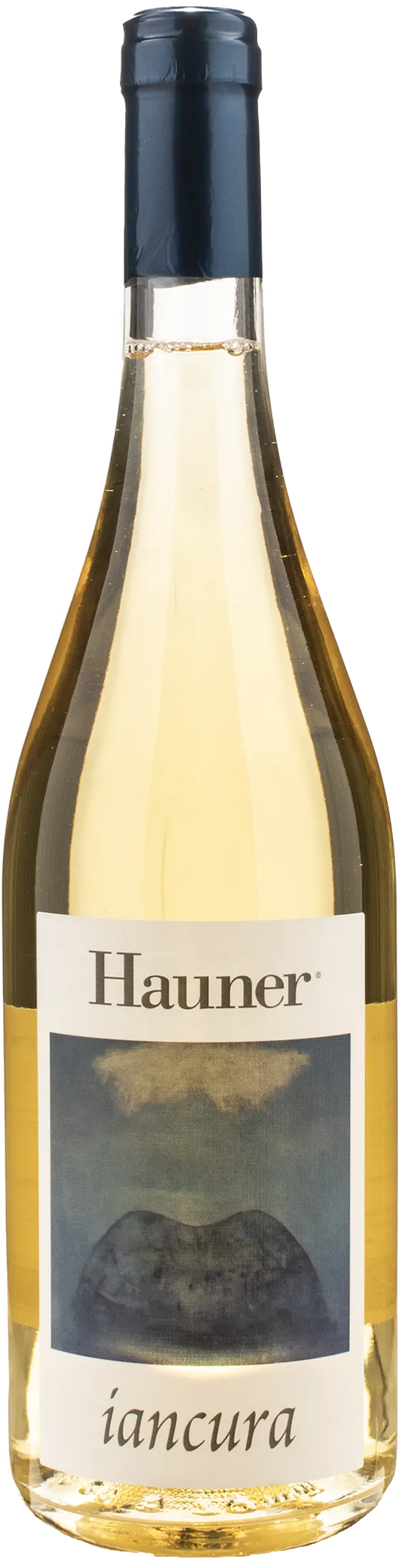 Hauner Iancura 2024