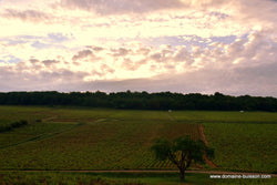 Henri & Gilles Buisson