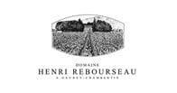 Henri Rebourseau logo