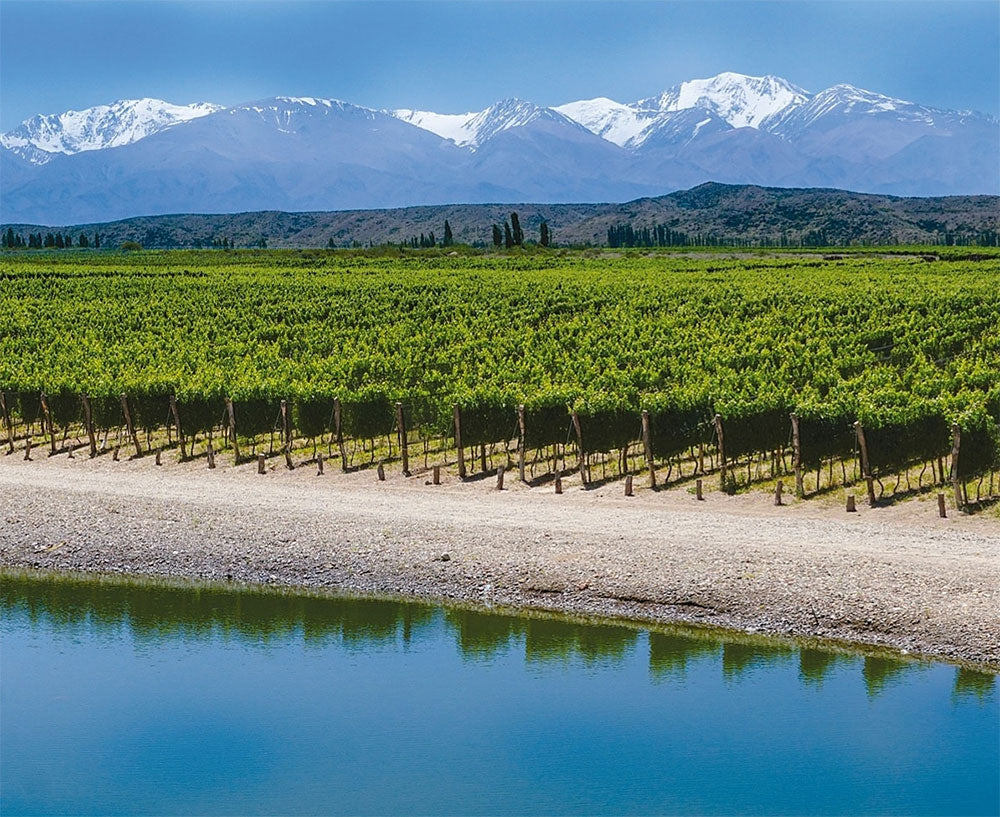Huentala Wines