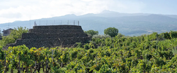I Custodi delle Vigne dell'Etna
