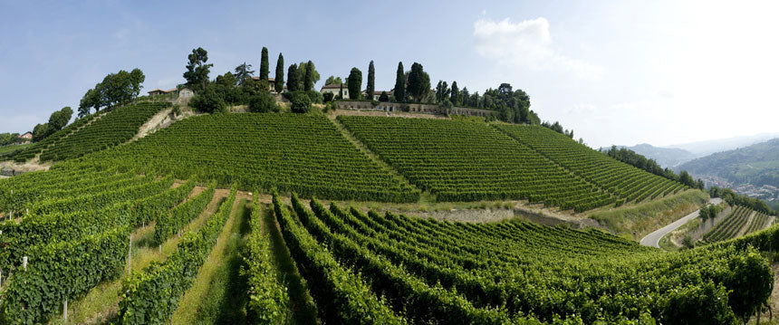 I Vignaioli di Santo Stefano
