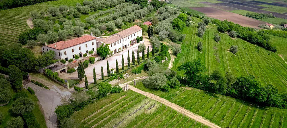 Il Filo delle Vigne