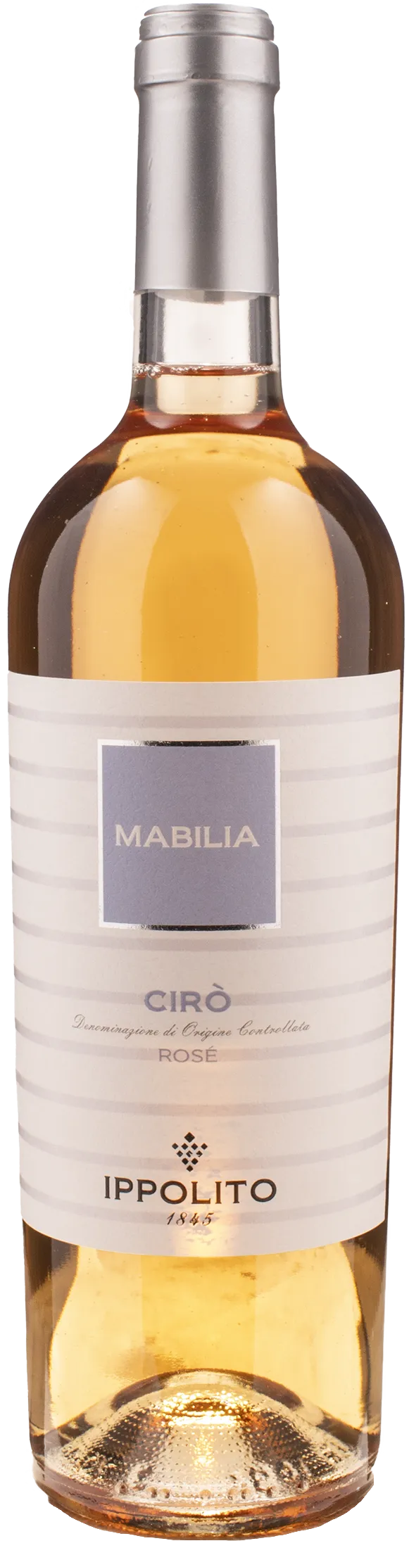 Ippolito 1845 Ciro Rosè Mabilia 2024