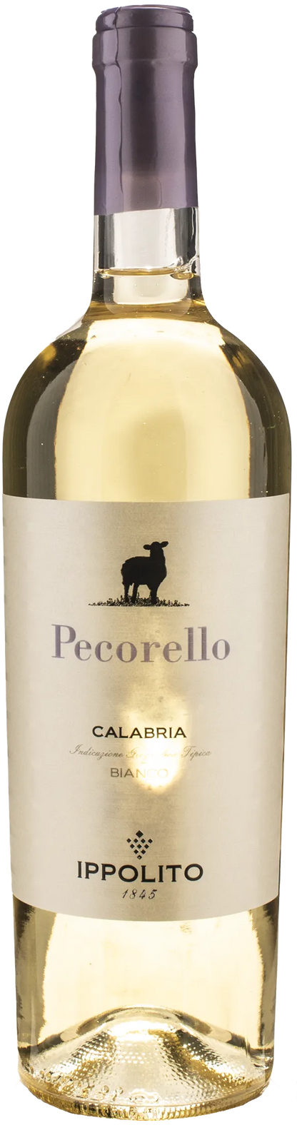 Ippolito 1845 Pecorello 2024