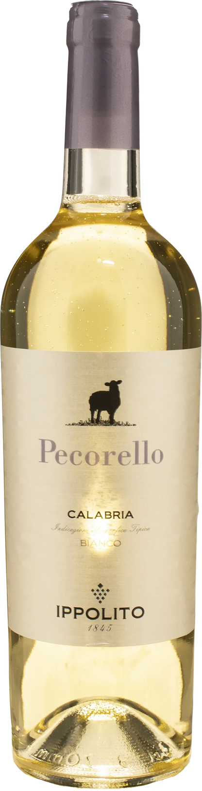 Ippolito 1845 Pecorello 2025