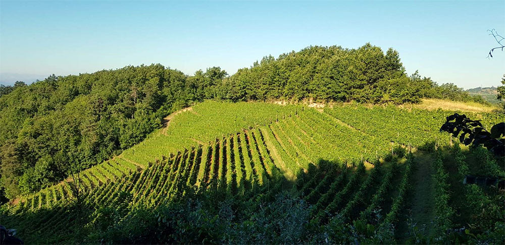 Isolabella della Croce