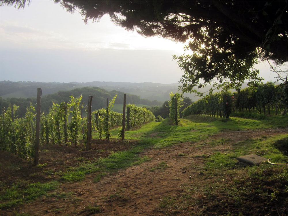 Jean-Bernard Larrieu - Clos Lapeyre